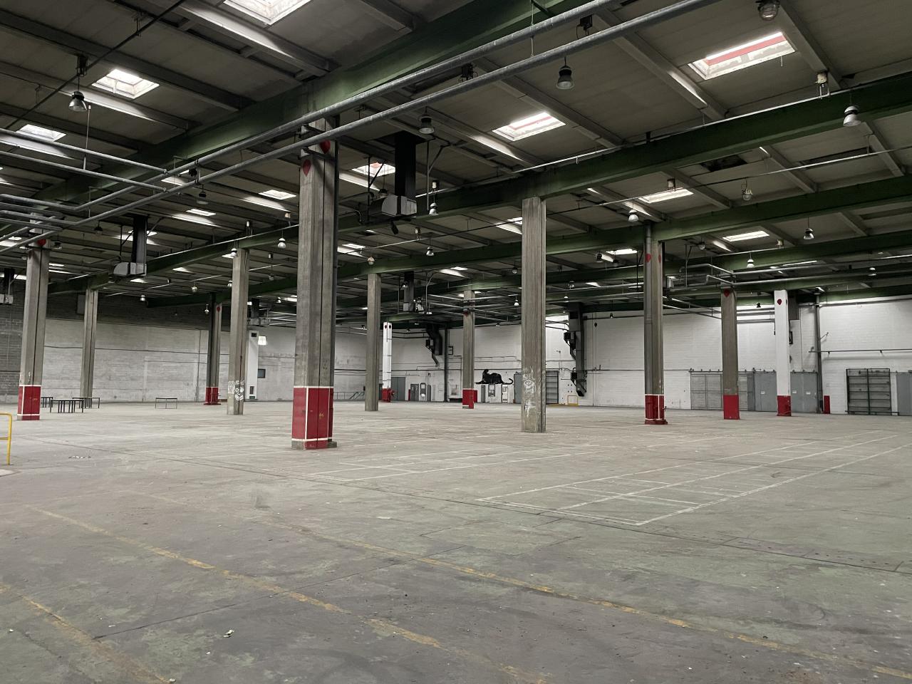 Local d'activité Le Grand-quevilly 8320m² Location local d'activité Le Grand-quevilly Seine-Maritime OLACT2530196 3
